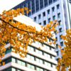 マンション購入者は知っておきたい！管理組合の基礎知識